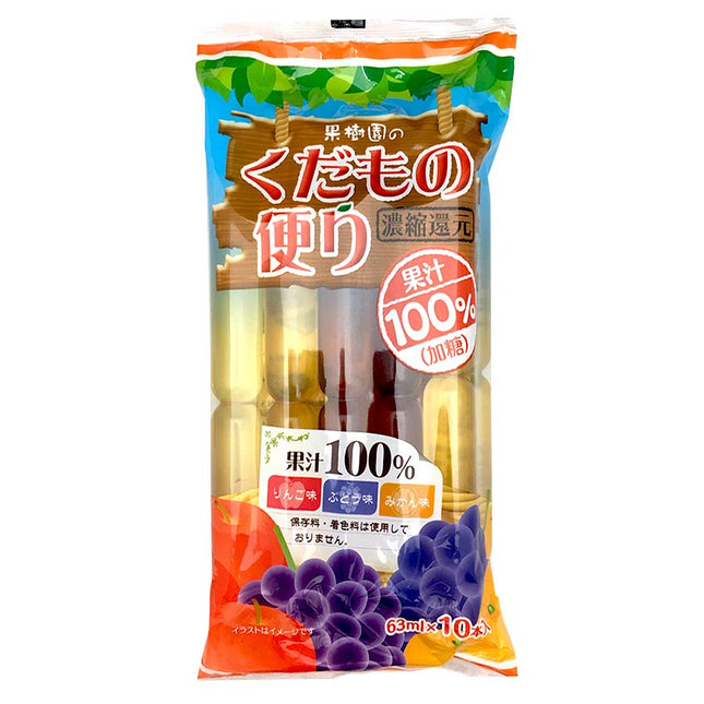くだもの便り 果汁100% 63ml×10本