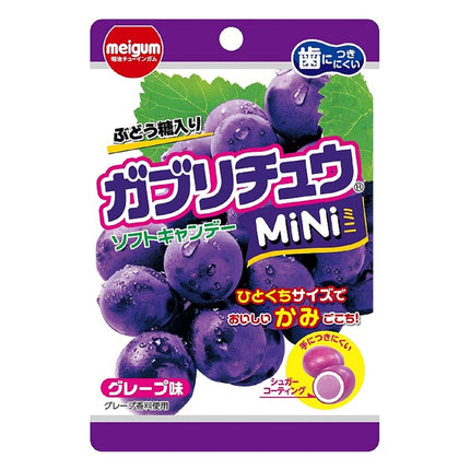 ガブリチュウMiNi グレープ 28g